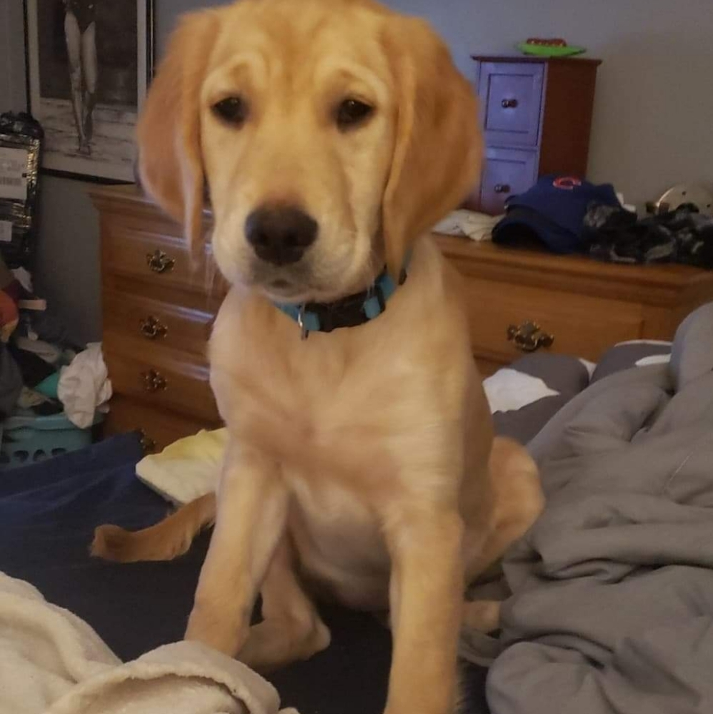 Meet your Posher, Micki